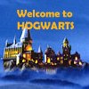 'welcome to hogwarts'